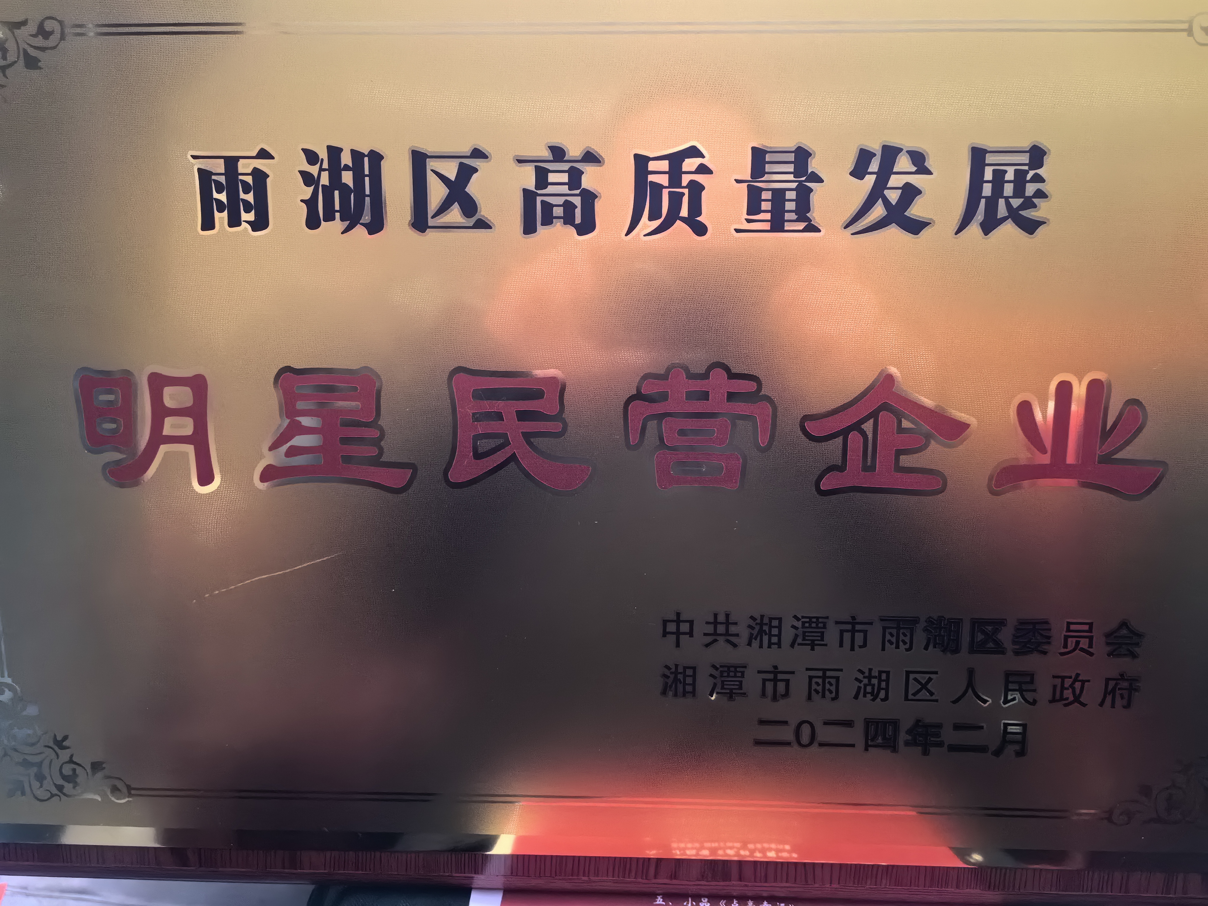 万搏官方网站_万搏wanbo(中国)
荣获“雨湖区高质量发展明星民营企业”称号